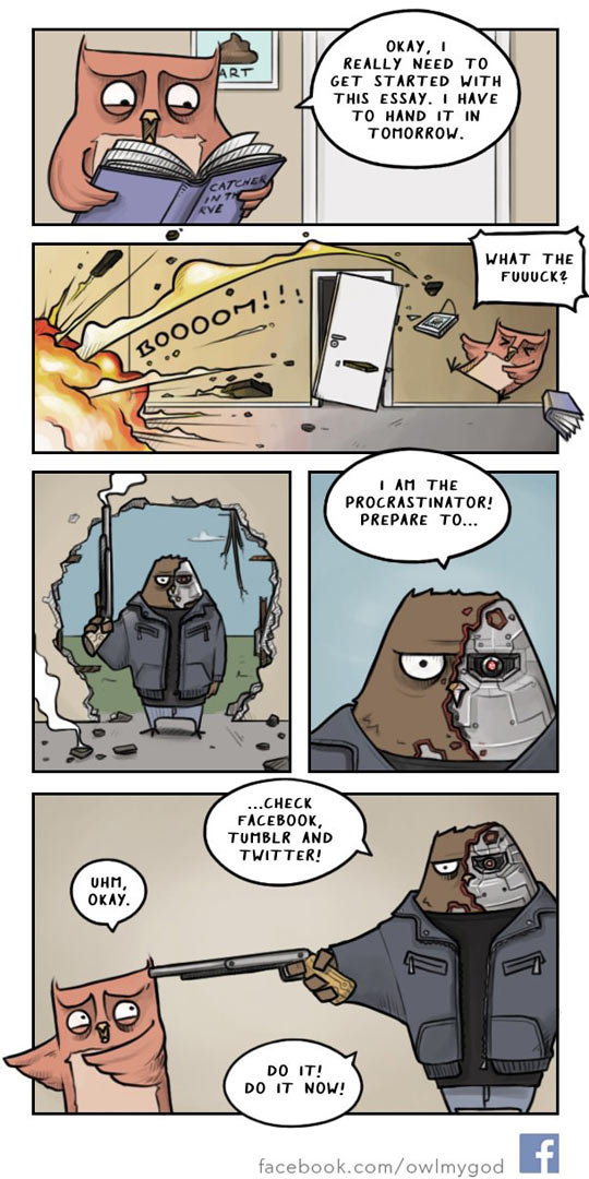 Funny Owl – Why You Never Get Anything Done