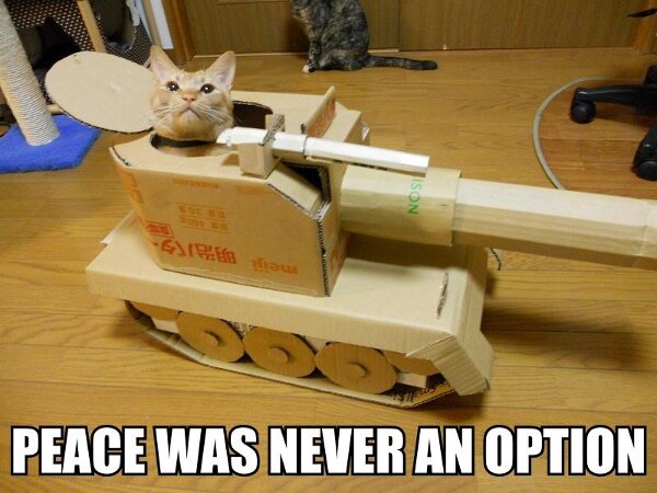 Scary Cat in a Tank