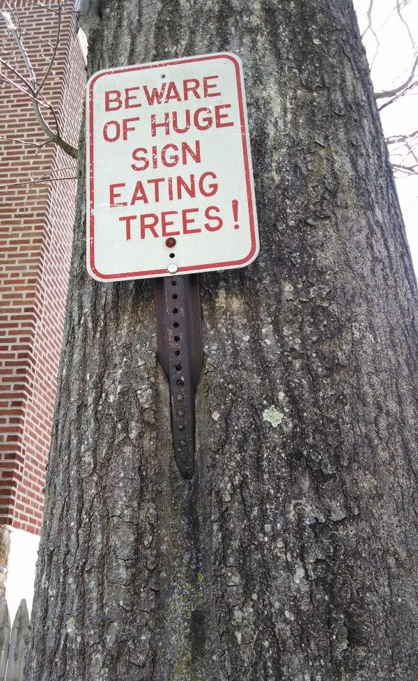 New Epidemic - Sign Eating Trees