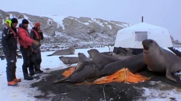 Your Tent Had a Hole So We Sealed It