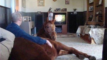 Just Snuggling with My Horse
