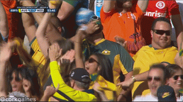 Topless Australian Girl Celebrates Goal vs Netherlands in 2014 World Cup