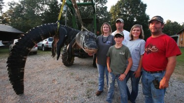 1,000 Pound Alabama Gator Hunted Down By a Family