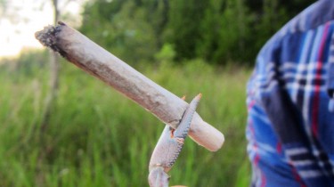 A Crayfish Roach Clip