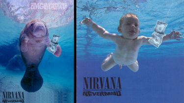 Nirvana Nevermind Album Cover With a Manatee