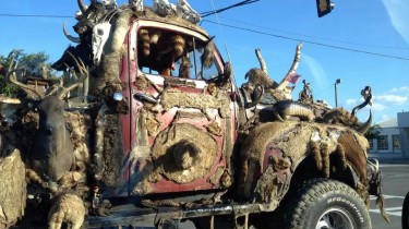 Truck Full of Dead Animals Must Be From the South