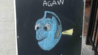 I'll Never Drink again. Oh, Look! Fireball!!!