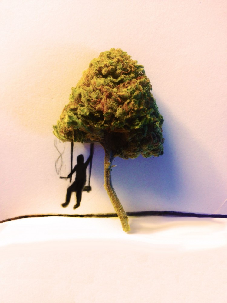 The Tree Swing of Marijuana