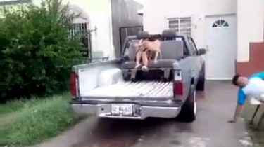 kid cartwheels gracefully out of pickup truck