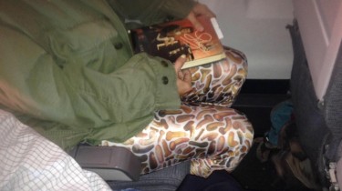 Woman Spotted on Airplane Wearing Penis Pants